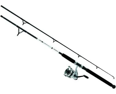 Daiwa Combo D-Wave Spin Combo 1BB 10' 2pc M