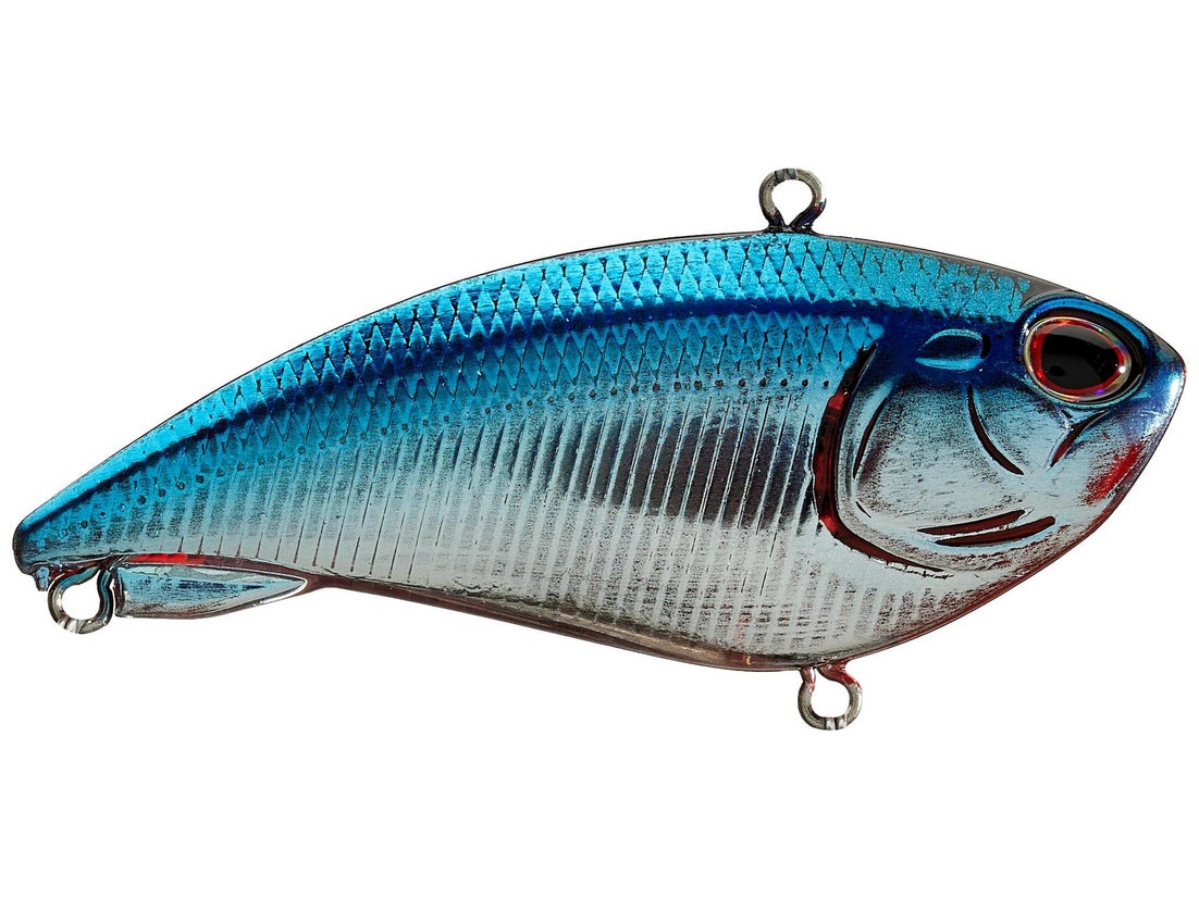 Berkley Jack Size 6, 1/2oz 2.5in Blue Chrome