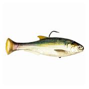 Z-MAN Shadtron LT6in. Fast Sink Blueback Herring